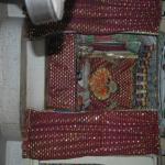 Vraj-Yatra-2014- (179)